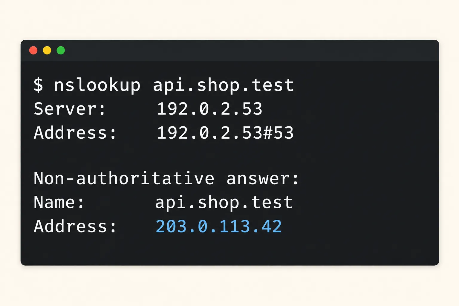 Terminal showing an nslookup for api.shop.test resolving to the IPv4 address 203.0.113.42